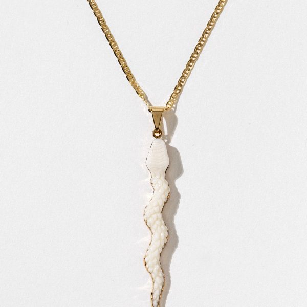 Elegant Serpentine Charm Necklace